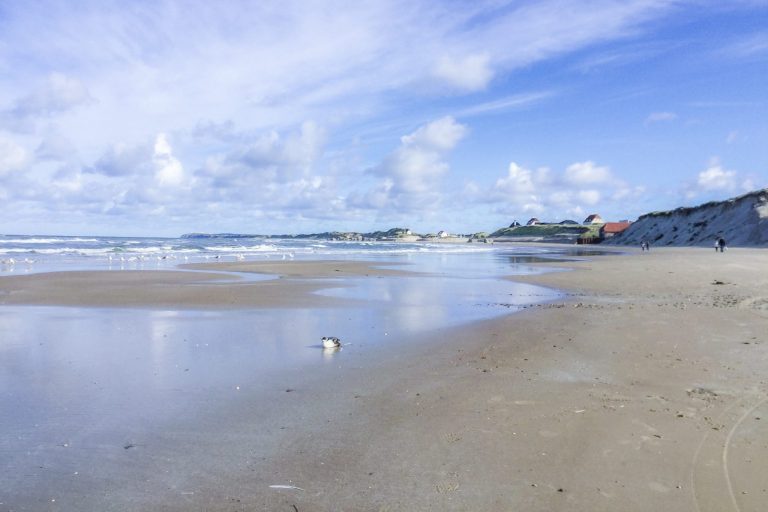 Lokkenin hiekkarantaa Tanskassa.