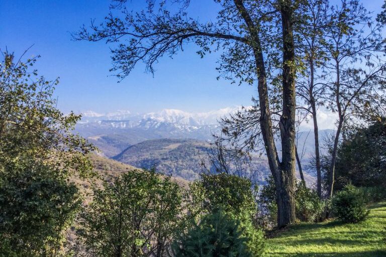 Näköalapaikalla näkyy lumihuippuisia vuoria ja metsää.