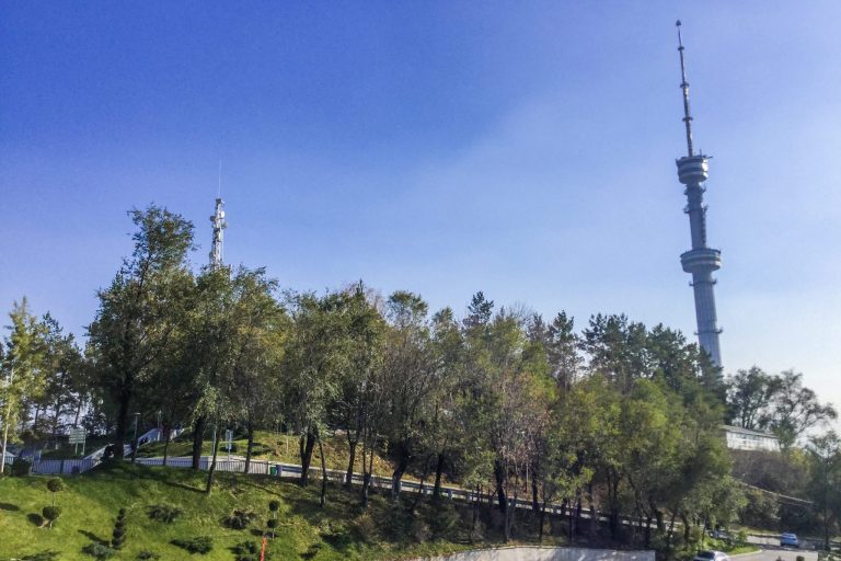 Kuvassa näkyy metsää sekä oikeassa laidassa TV-torni.