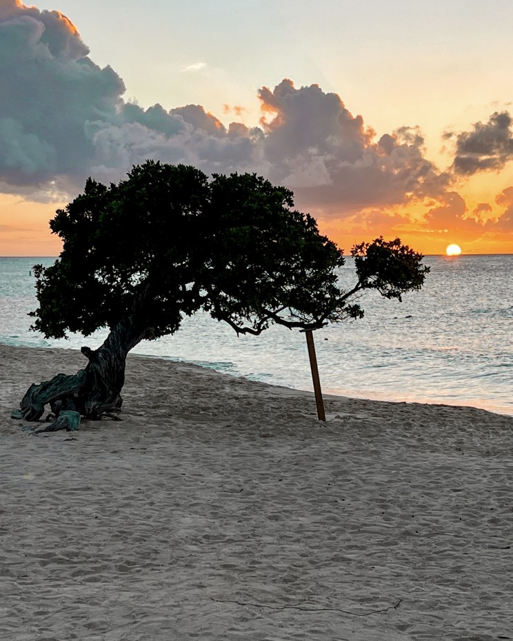 Tämän kuvan alt-attribuutti on tyhjä; Tiedoston nimi on 0199683C-EDCE-4A19-9694-1BCE5537EA2B.jpeg